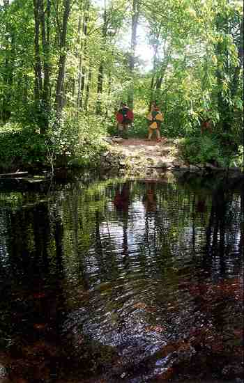 Cumberland woods