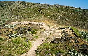 Stong barn ruins