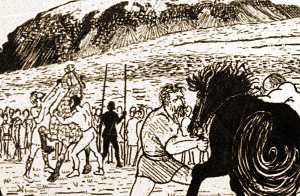 Thingvellir horsefight