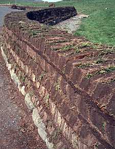 turf wall under construction