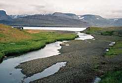 estuary at low tide