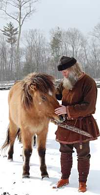 Icelandic horse