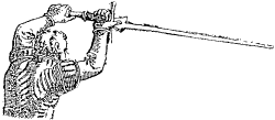 Meyer squnting blow