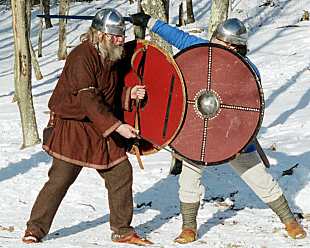 sword and shield technique