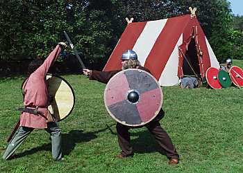 Viking combat