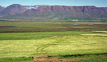 Glaumbaer field