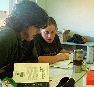 students work on their translations in groups